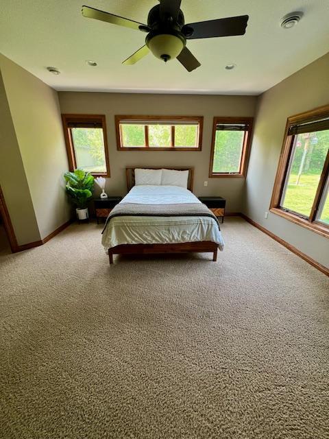 23567 Timber Trail Dr, Bemidji, MN 56601 - bedroom featuring baseboards, light colored carpet, and multiple windows