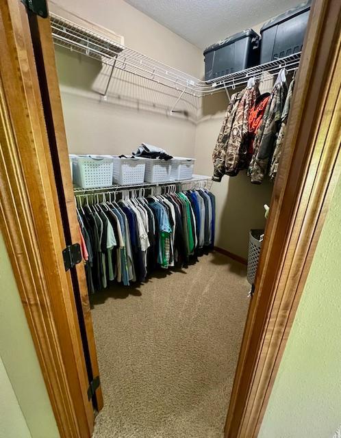 23567 Timber Trail Dr, Bemidji, MN 56601 - walk in closet with carpet flooring