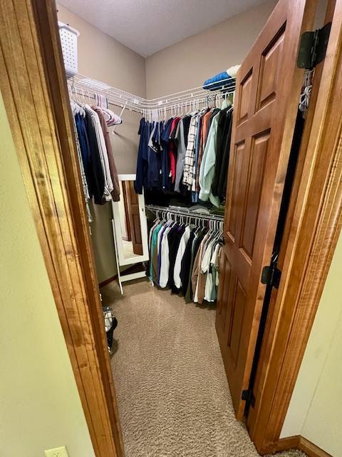 23567 Timber Trail Dr, Bemidji, MN 56601 - walk in closet with carpet flooring