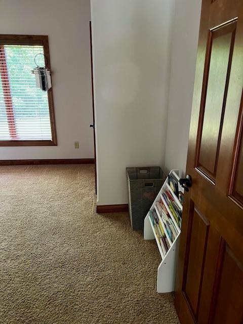 23567 Timber Trail Dr, Bemidji, MN 56601 - corridor featuring carpet flooring and baseboards