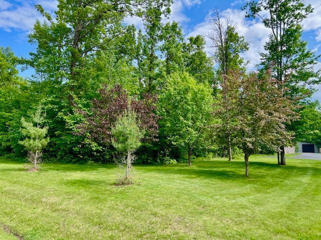 23567 Timber Trail Dr, Bemidji, MN 56601 - view of green lawn