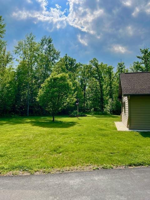 23567 Timber Trail Dr, Bemidji, MN 56601 - view of green lawn