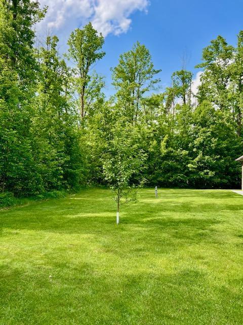 23567 Timber Trail Dr, Bemidji, MN 56601 - view of grassy yard