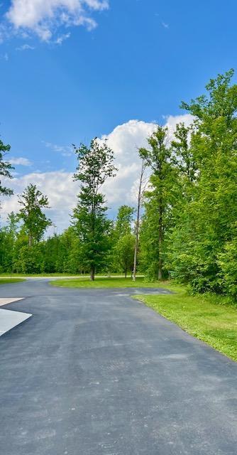 23567 Timber Trail Dr, Bemidji, MN 56601 - view of road
