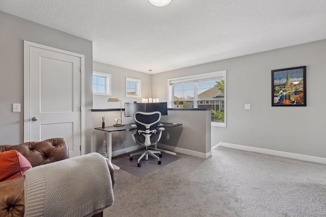 13824 102nd Pl N, Maple Grove, MN 55369 - carpeted home office featuring baseboards and a textured ceiling