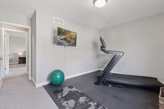 13824 102nd Pl N, Maple Grove, MN 55369 - exercise area featuring baseboards and carpet