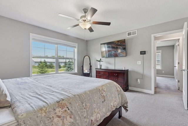 13824 102nd Pl N, Maple Grove, MN 55369 - bedroom featuring light carpet and ceiling fan