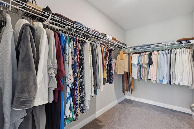 13824 102nd Pl N, Maple Grove, MN 55369 - walk in closet with carpet