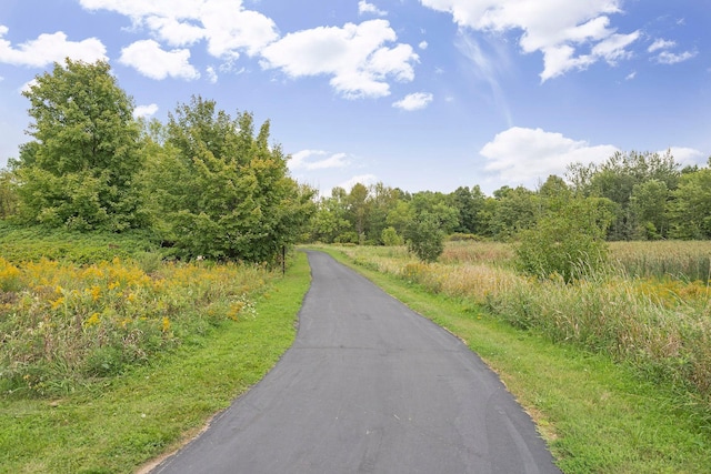 13824 102nd Pl N, Maple Grove, MN 55369 - view of street with a forest view