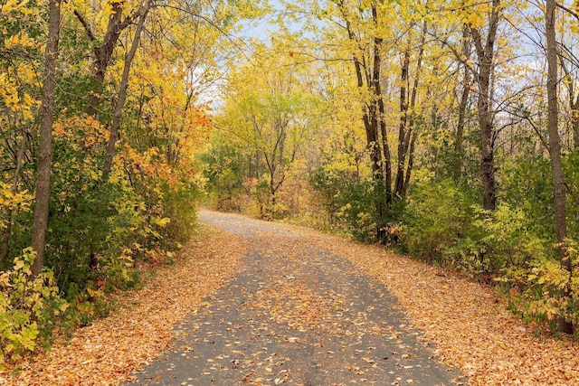 13824 102nd Pl N, Maple Grove, MN 55369 - view of road featuring a view of trees