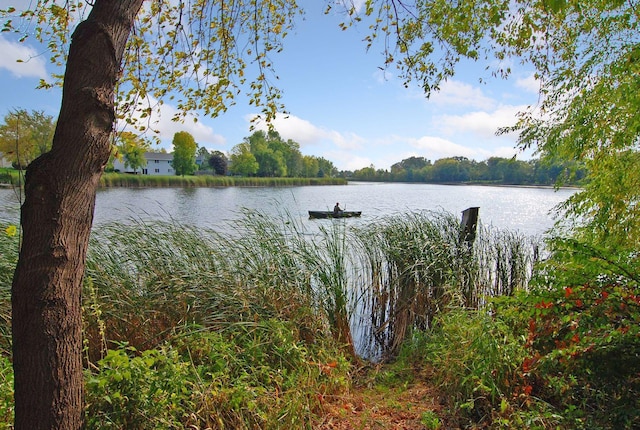 13824 102nd Pl N, Maple Grove, MN 55369 - water view