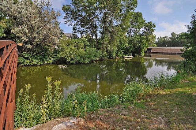 13824 102nd Pl N, Maple Grove, MN 55369 - water view