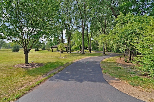 13824 102nd Pl N, Maple Grove, MN 55369 - surrounding community with a lawn and driveway