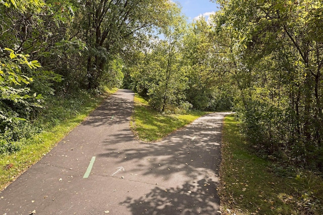 13824 102nd Pl N, Maple Grove, MN 55369 - view of road with a forest view