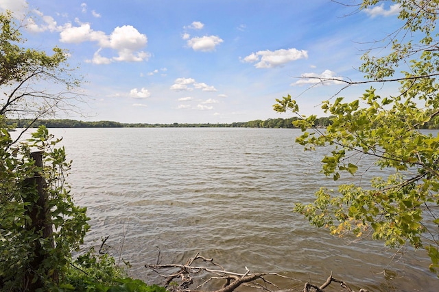 13824 102nd Pl N, Maple Grove, MN 55369 - water view