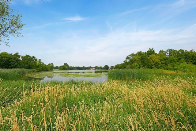 13824 102nd Pl N, Maple Grove, MN 55369 - water view