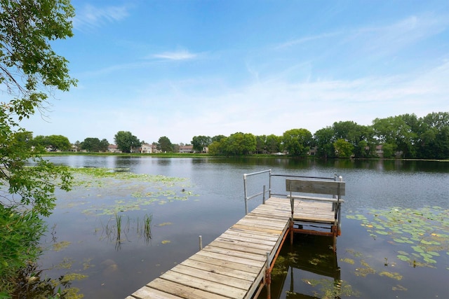 13824 102nd Pl N, Maple Grove, MN 55369 - dock with a water view