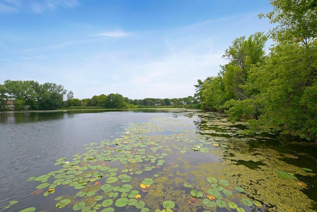 13824 102nd Pl N, Maple Grove, MN 55369 - water view