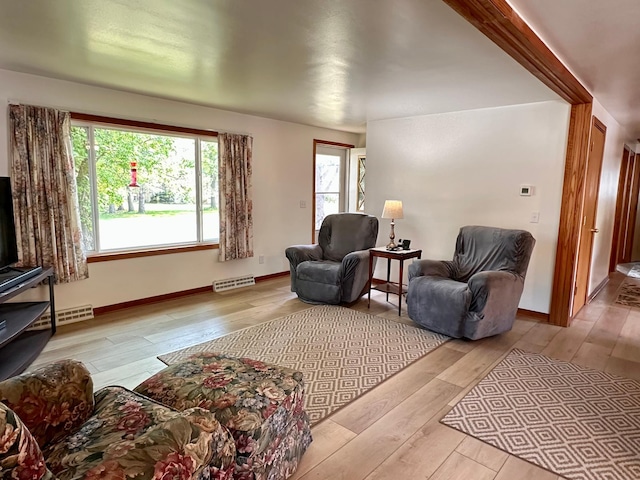 303 Goad Dr, Wrenshall, MN 55797 - living room featuring hardwood / wood-style flooring