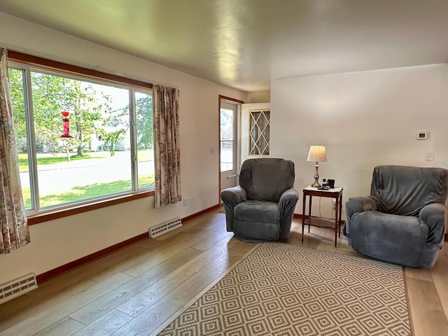 303 Goad Dr, Wrenshall, MN 55797 - living area featuring hardwood / wood-style floors
