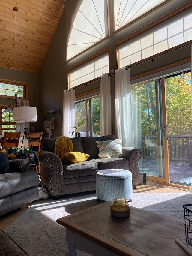 454 Wagon Wheel Dr SE Unit 17, Ten Lake Twp, MN 56601 - living area with high vaulted ceiling, healthy amount of natural light, and wood finished floors