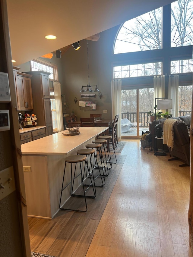 454 Wagon Wheel Dr SE Unit 17, Ten Lake Twp, MN 56601 - kitchen with a towering ceiling, hardwood / wood-style floors, light countertops, a kitchen bar, and recessed lighting