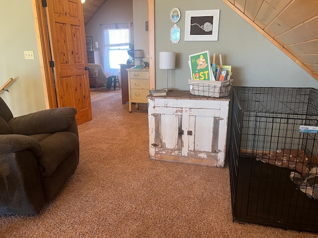 454 Wagon Wheel Dr SE Unit 17, Ten Lake Twp, MN 56601 - corridor featuring vaulted ceiling and carpet floors