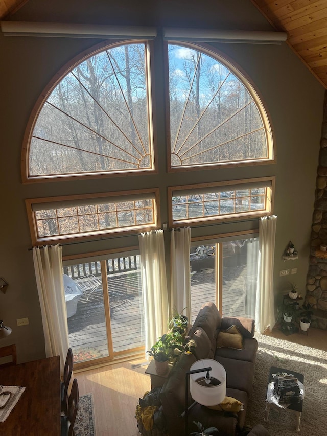 454 Wagon Wheel Dr SE Unit 17, Ten Lake Twp, MN 56601 - detailed view of wood finished floors