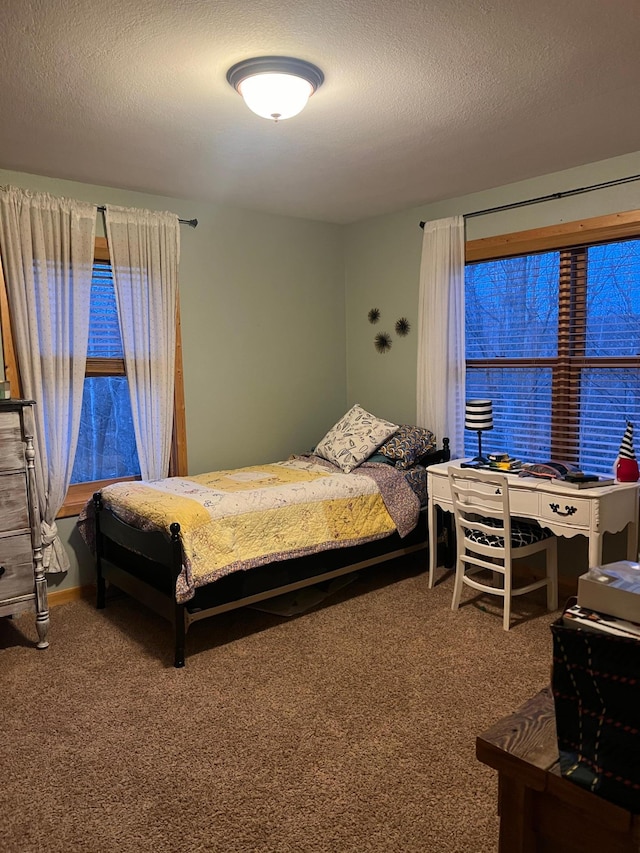 454 Wagon Wheel Dr SE Unit 17, Ten Lake Twp, MN 56601 - bedroom with carpet flooring and a textured ceiling
