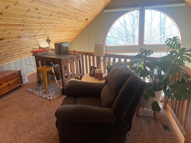 454 Wagon Wheel Dr SE Unit 17, Ten Lake Twp, MN 56601 - photo 25