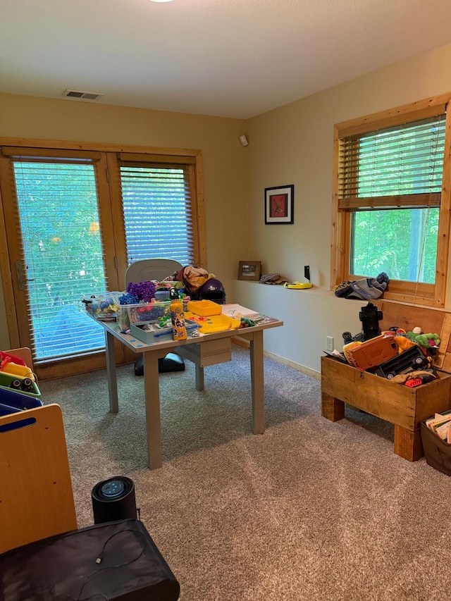 454 Wagon Wheel Dr SE Unit 17, Ten Lake Twp, MN 56601 - photo 71