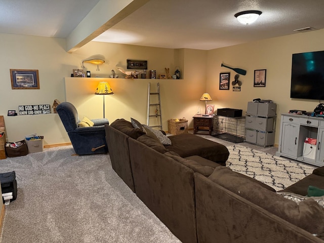 454 Wagon Wheel Dr SE Unit 17, Ten Lake Twp, MN 56601 - photo 69