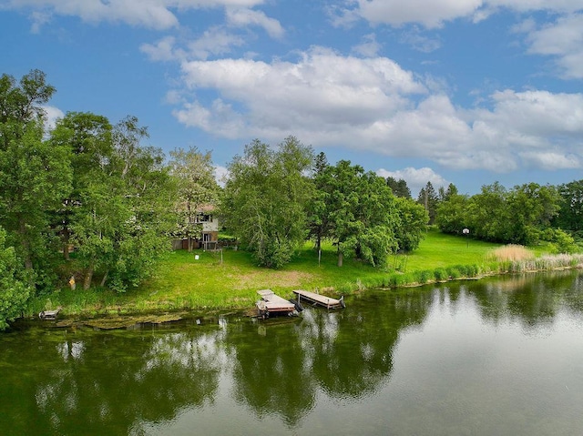 43394 Long Lake Ln, Ottertail, MN 56571 - water view with a floating dock