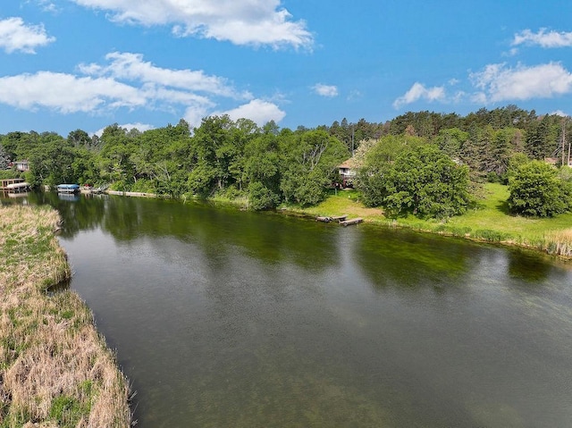 43394 Long Lake Ln, Ottertail, MN 56571 - water view with a heavily wooded area