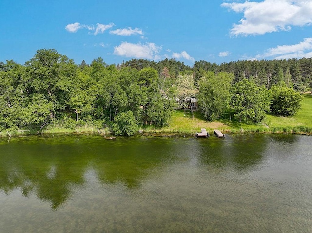 43394 Long Lake Ln, Ottertail, MN 56571 - water view featuring a heavily wooded area and a floating dock
