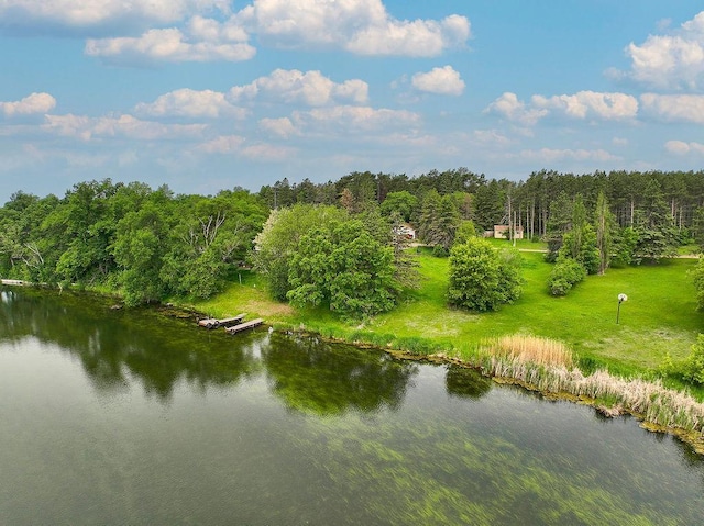 43394 Long Lake Ln, Ottertail, MN 56571 - water view featuring a forest