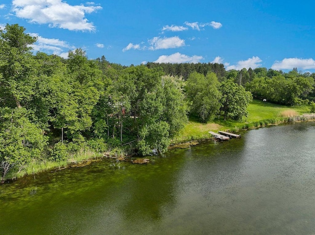 43394 Long Lake Ln, Ottertail, MN 56571 - water view with a forest and a dock