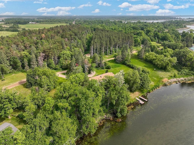 43394 Long Lake Ln, Ottertail, MN 56571 - drone / aerial view of a forest and a large body of water
