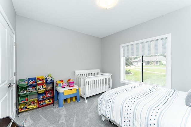 4338 Stone Crest Ln NE, Rochester, MN 55906 - bedroom with carpet flooring