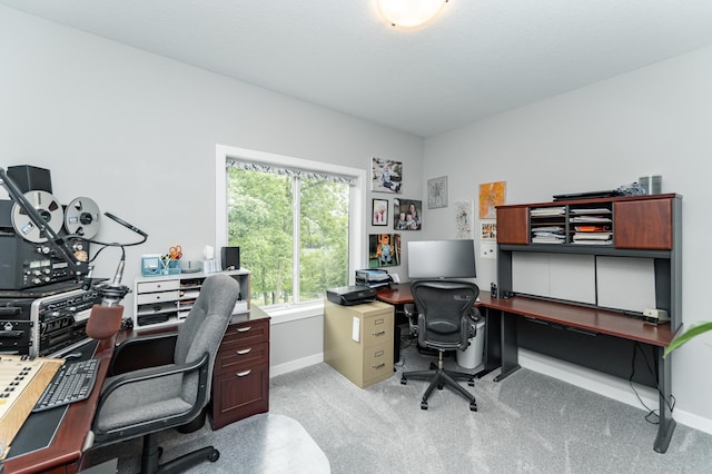 4338 Stone Crest Ln NE, Rochester, MN 55906 - home office featuring baseboards and light colored carpet