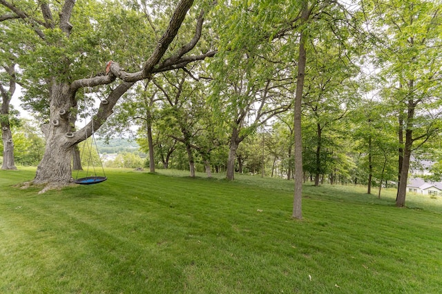 4338 Stone Crest Ln NE, Rochester, MN 55906 - view of green lawn