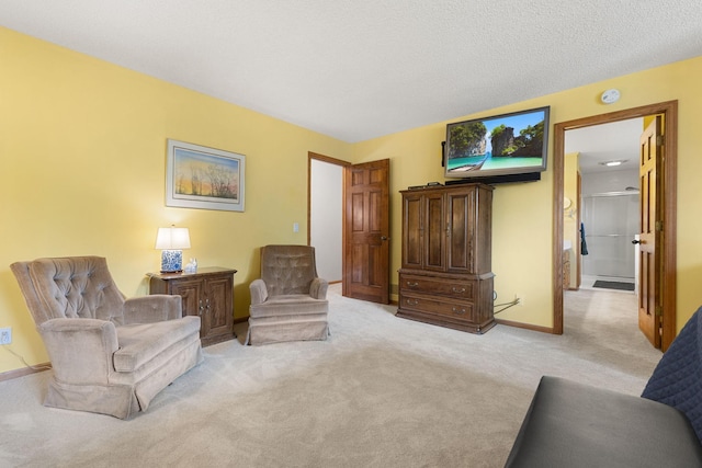 14023 Yellow Pine St NW, Andover, MN 55304 - sitting room with carpet floors and baseboards