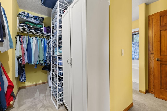 14023 Yellow Pine St NW, Andover, MN 55304 - spacious closet with carpet floors