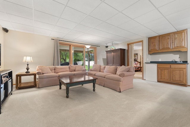 14023 Yellow Pine St NW, Andover, MN 55304 - living area with bar with sink, light carpet, and a drop ceiling