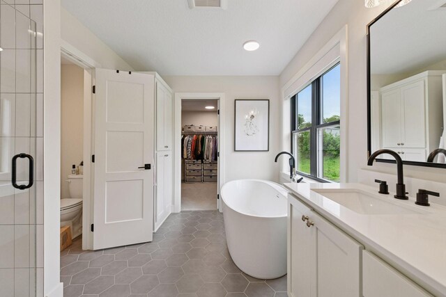 4998 Beach St NE, Prior Lake, MN 55372 - bathroom with vanity, a stall shower, a walk in closet, a freestanding tub, and toilet