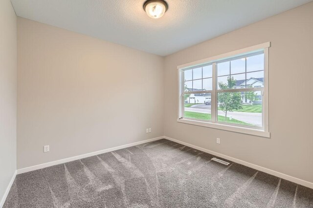 139 144th Ave NW, Andover, MN 55304 - unfurnished room with carpet and a textured ceiling