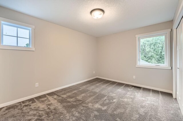 139 144th Ave NW, Andover, MN 55304 - unfurnished room with healthy amount of natural light, a textured ceiling, and carpet floors