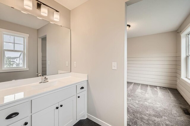 139 144th Ave NW, Andover, MN 55304 - bathroom featuring healthy amount of natural light and vanity
