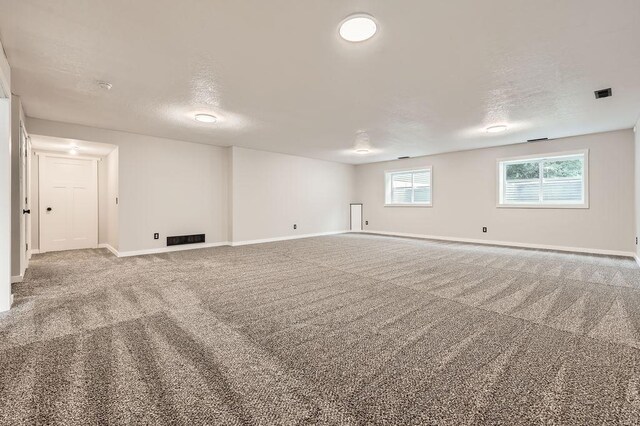 139 144th Ave NW, Andover, MN 55304 - basement featuring a textured ceiling and carpet flooring