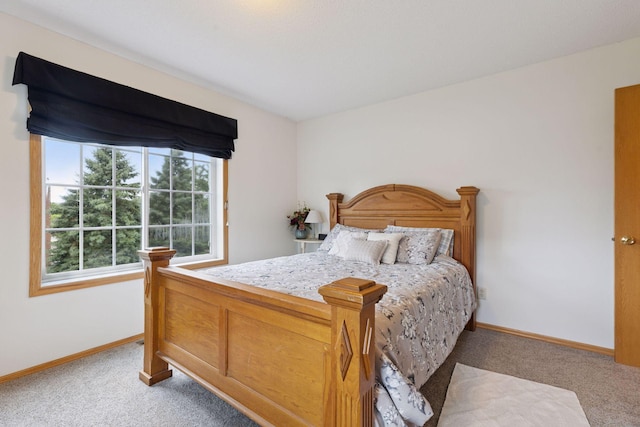 12141 Zealand Ave N, Champlin, MN 55316 - photo 8